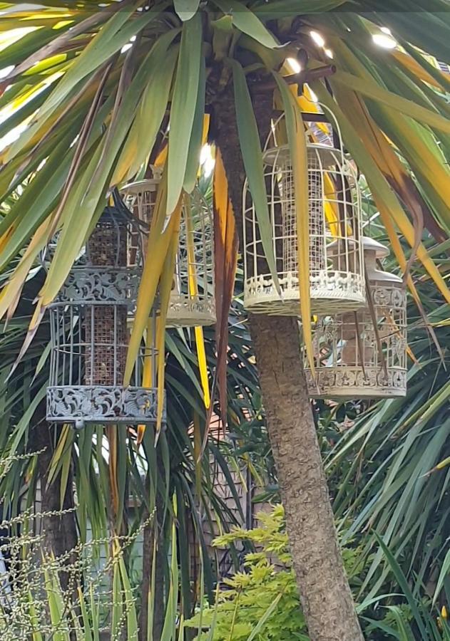 Tropical Garden Oasis Rooms Μπέρμιγχαμ Εξωτερικό φωτογραφία
