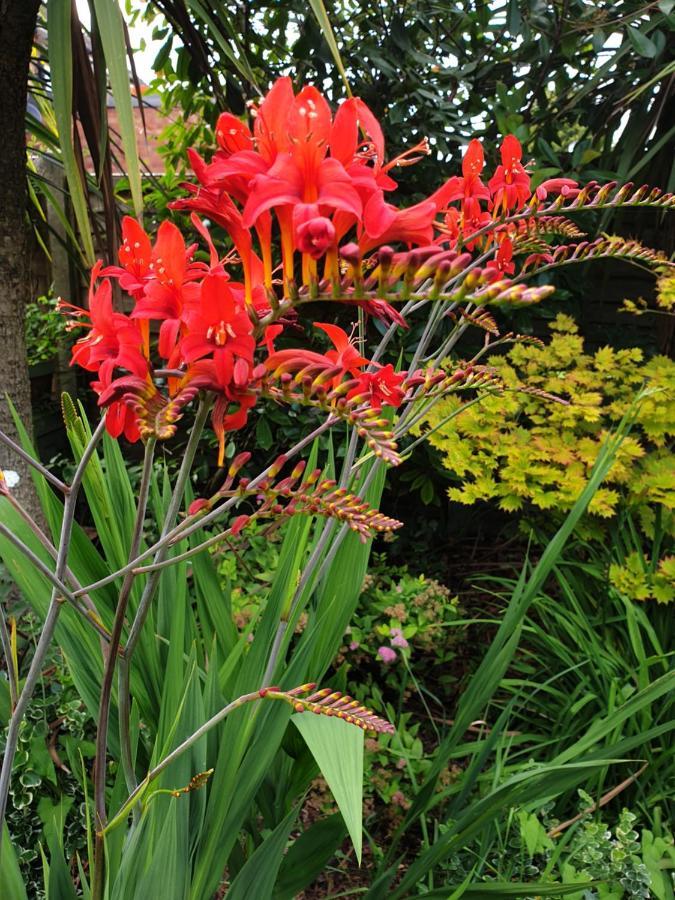 Tropical Garden Oasis Rooms Μπέρμιγχαμ Εξωτερικό φωτογραφία