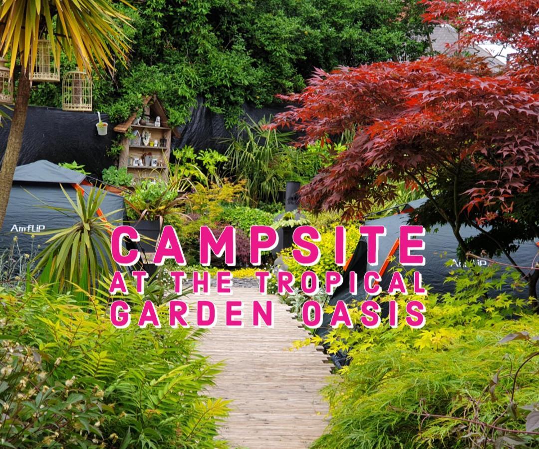Tropical Garden Oasis Rooms Μπέρμιγχαμ Δωμάτιο φωτογραφία